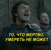IMG_2855.png